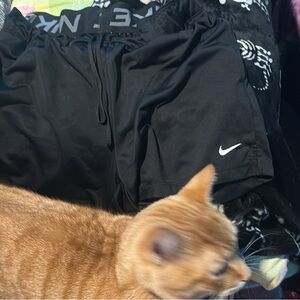 Nike Dri-FIT Black Sports Shorts